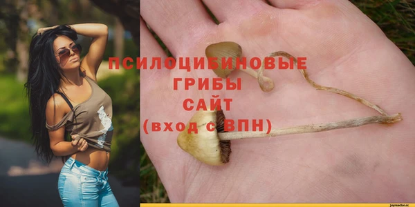 альфа пвп Богданович
