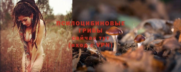 экстази Богородицк