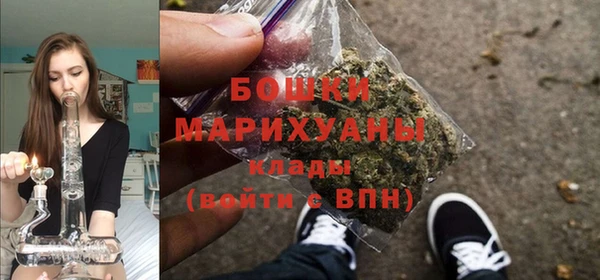 дурь Богородск