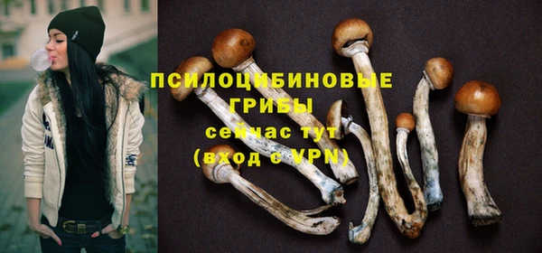 экстази Богородицк