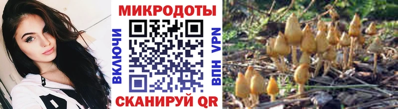 Купить где  Сасово  Галлюциногенные грибы мицелий 